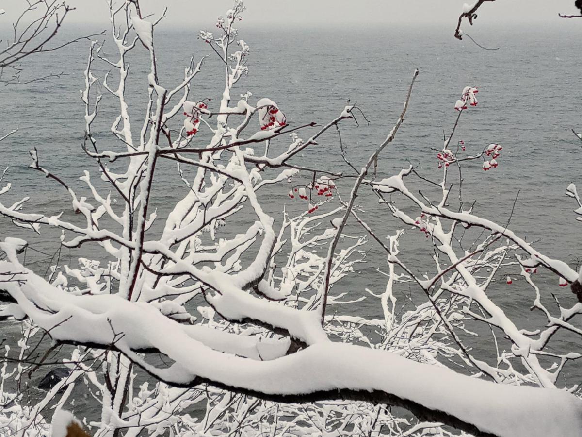 Cliff Dweller On Lake Superior Tofte Bagian luar foto